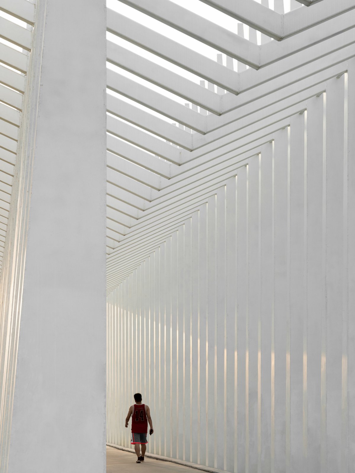 艾米未来农业文旅小镇丨加减智库-12