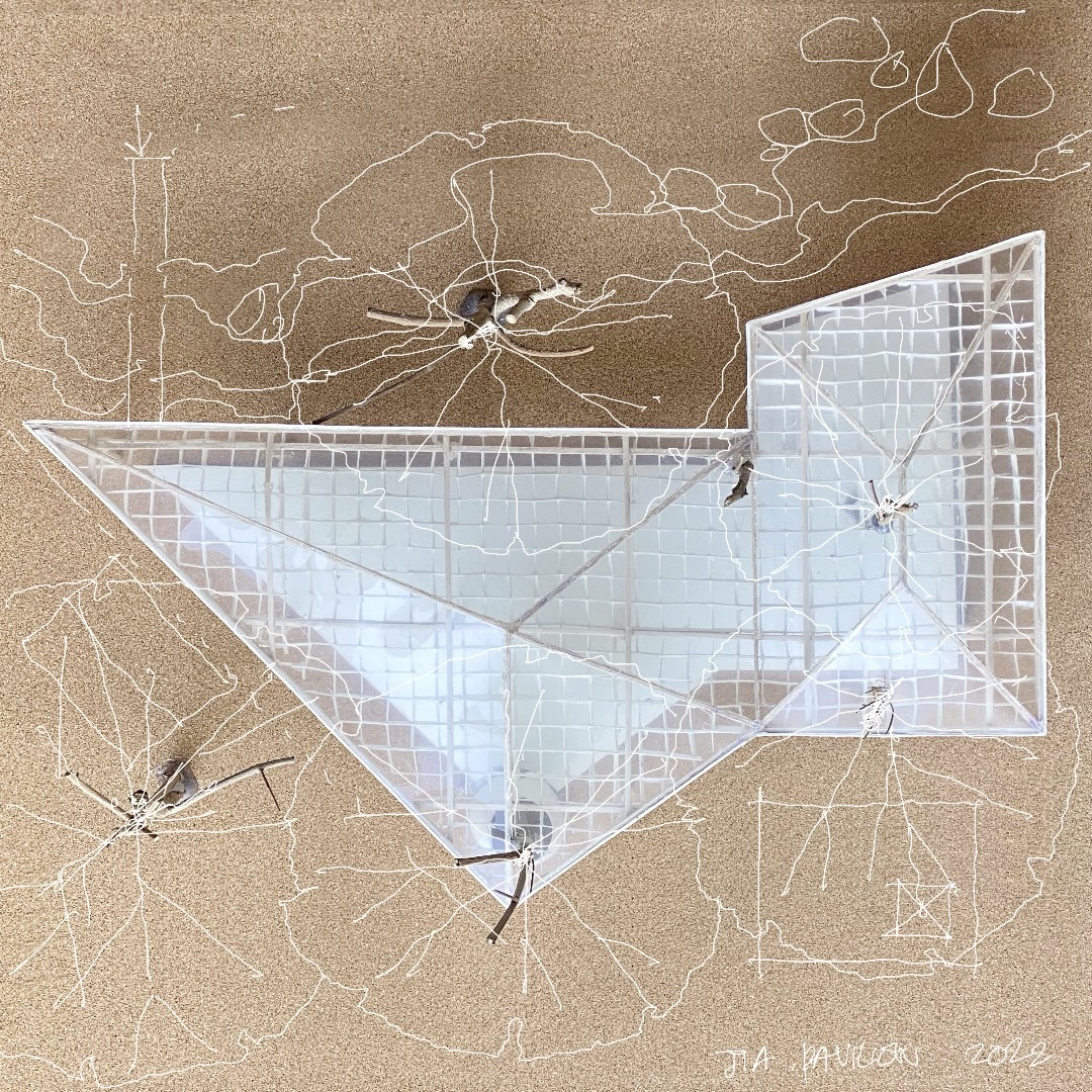 贾亭丨印度丨DDAP Architect-50