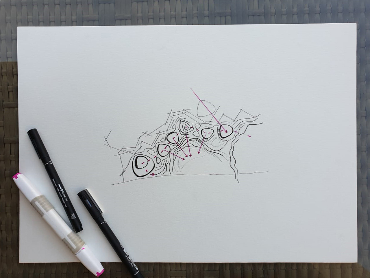 " Village of Nature " Graduation project 2019-9