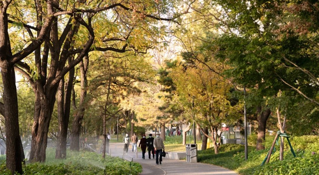 中关村大街改造丨中国北京丨IF 本色营造-27