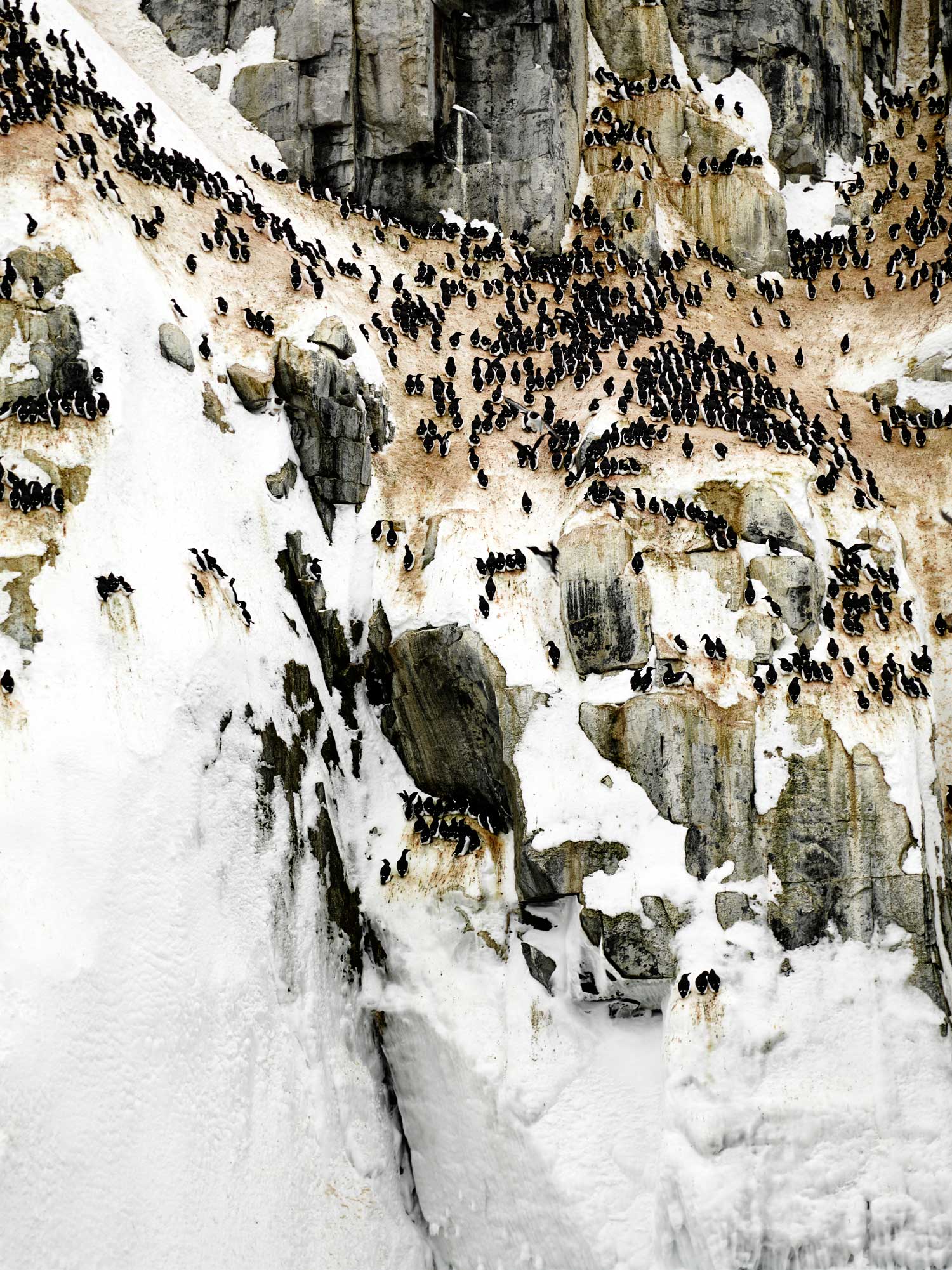 Spectacular Aerial Photography Welcomes Us to 2018-95