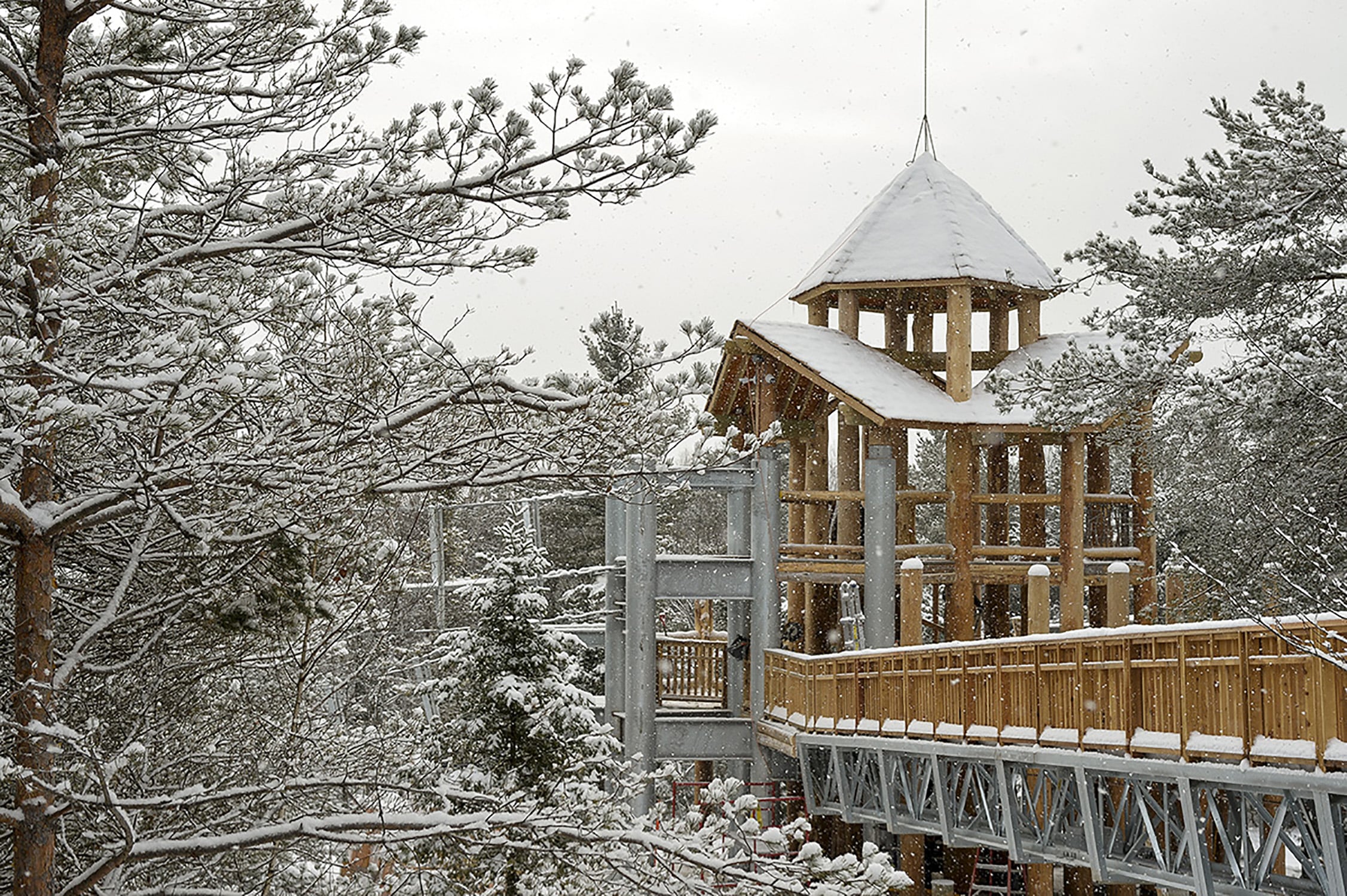 野性漫步 · 融入自然的高空步道设计-7