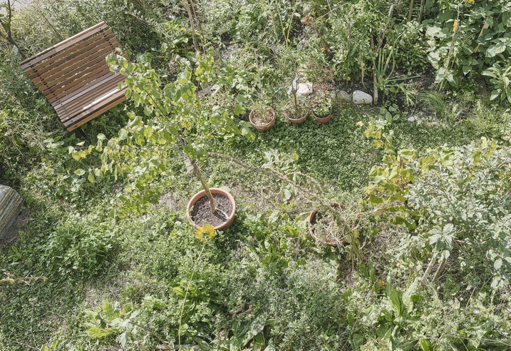 HEIN Architekten | Umbau und Revitalisierung Haus ST, Hard | Bregenz, Österreich-21