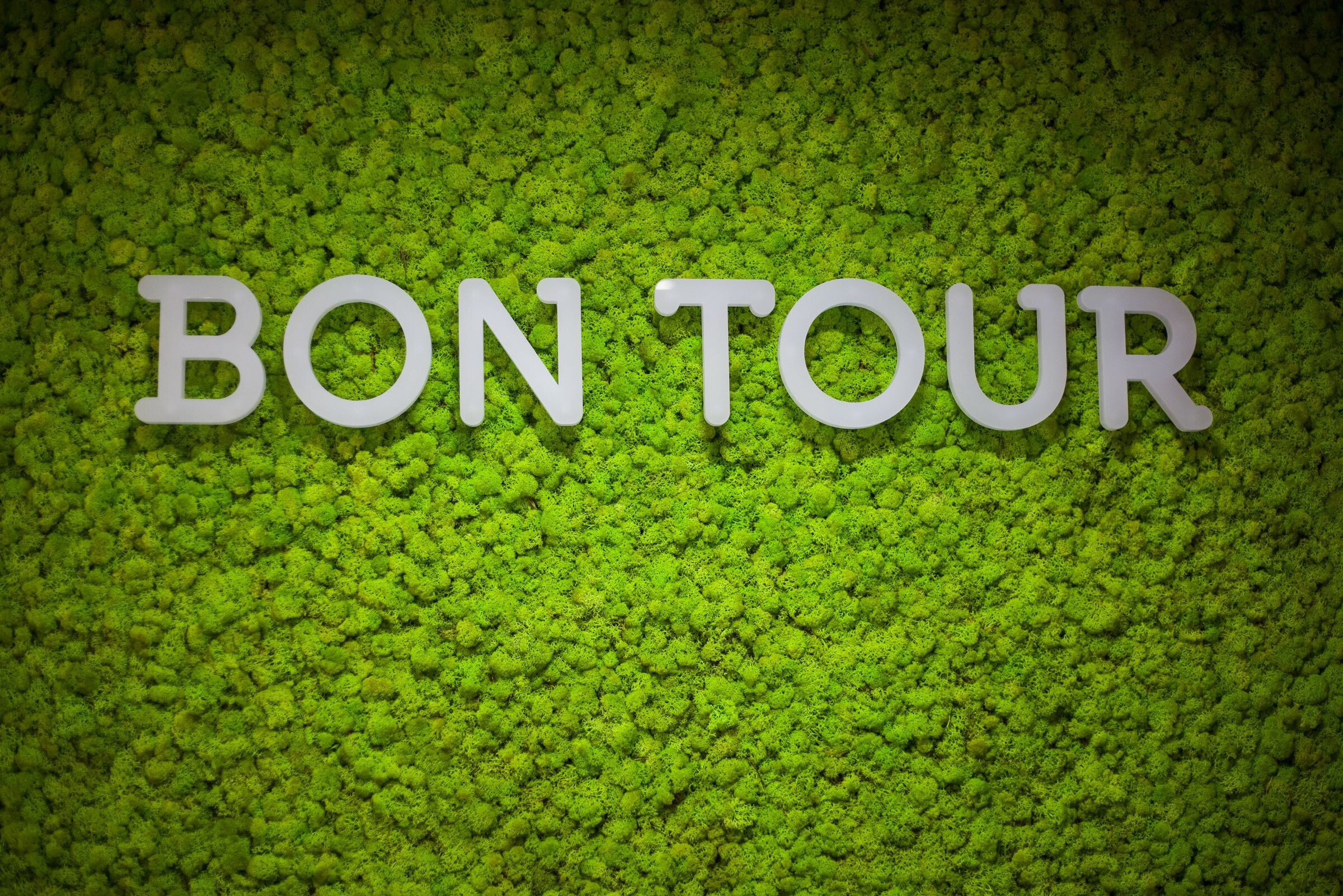 绿色创意办公空间 · 保加利亚 Varna-31