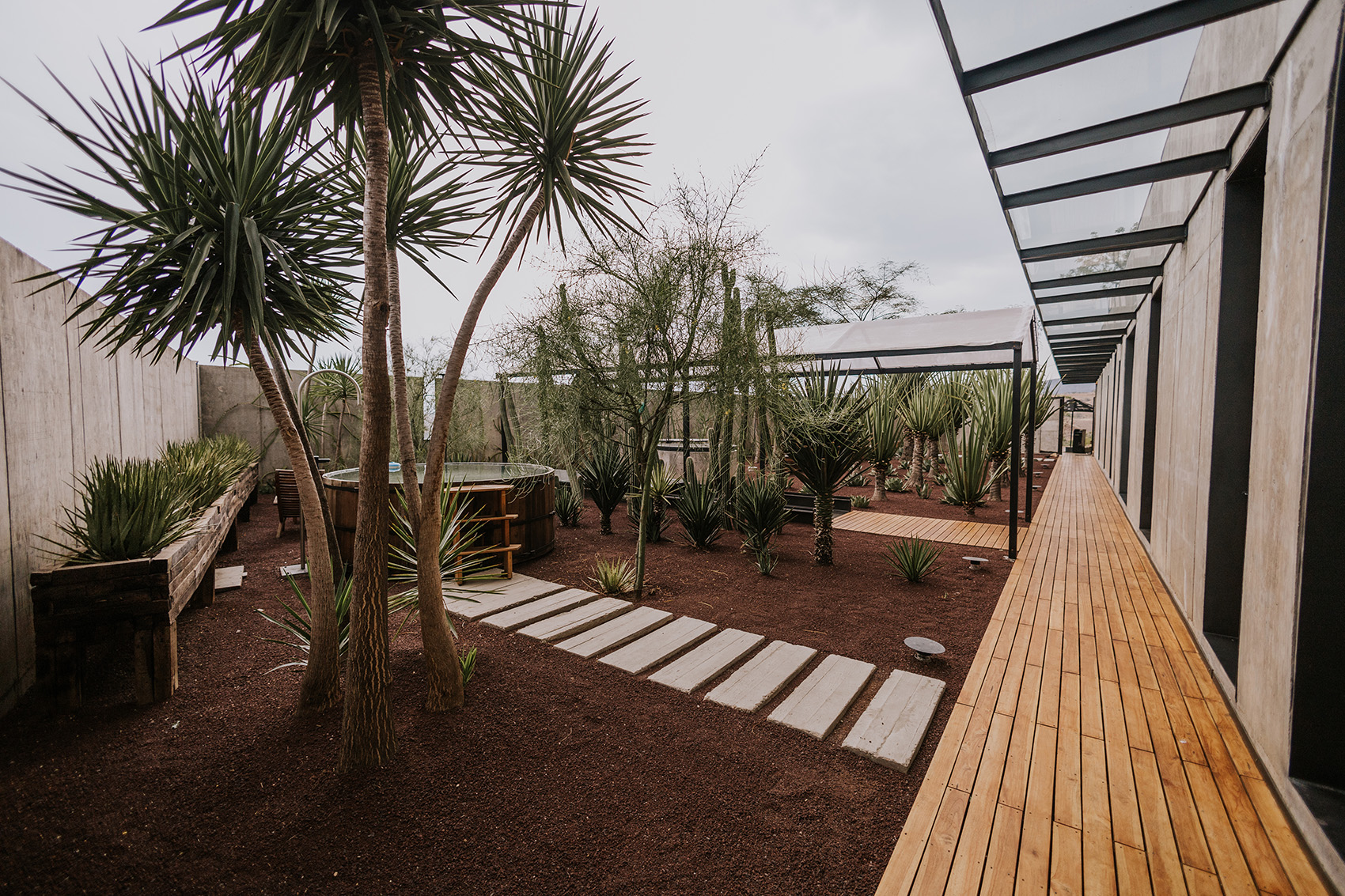 弗拉维亚豪华酒店丨墨西哥瓦哈卡丨ROOTSTUDIO-12