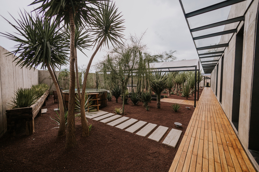 弗拉维亚豪华酒店丨墨西哥瓦哈卡丨ROOTSTUDIO-12