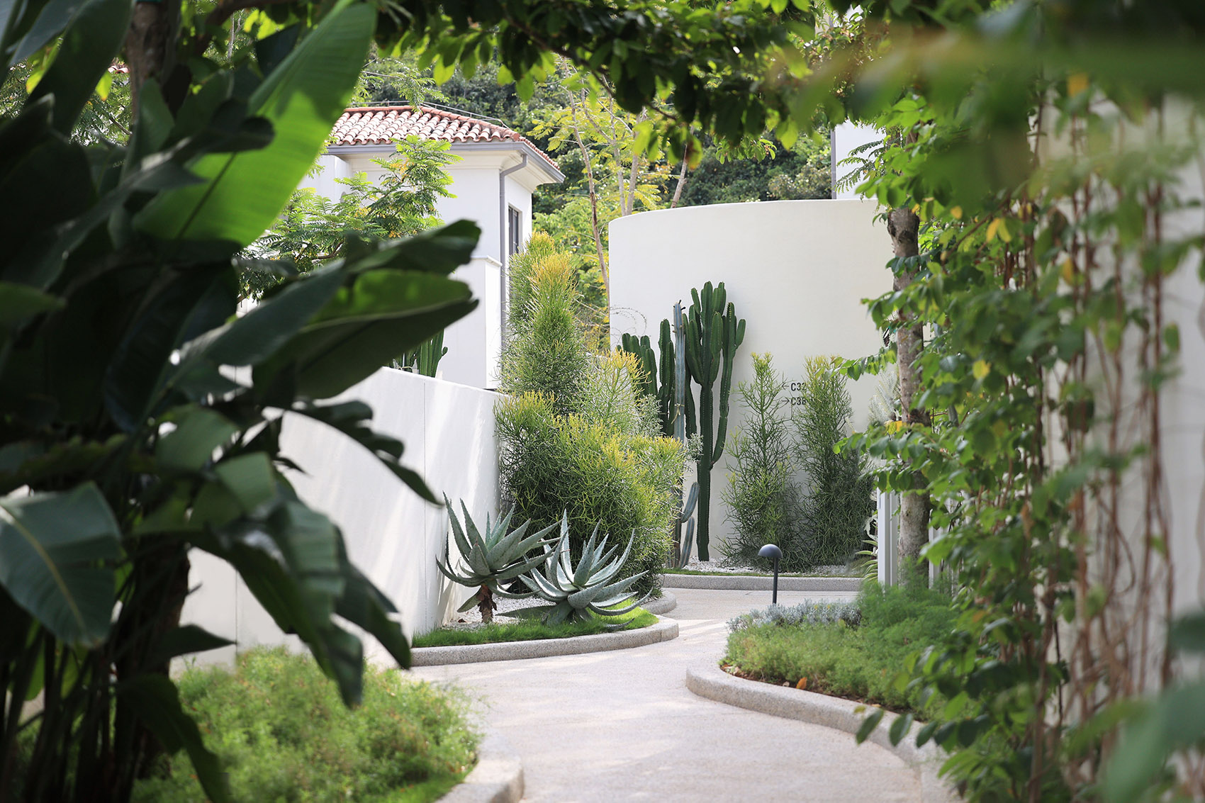 阿那亚三亚南花园丨中国三亚丨Z’scape致舍景观-189