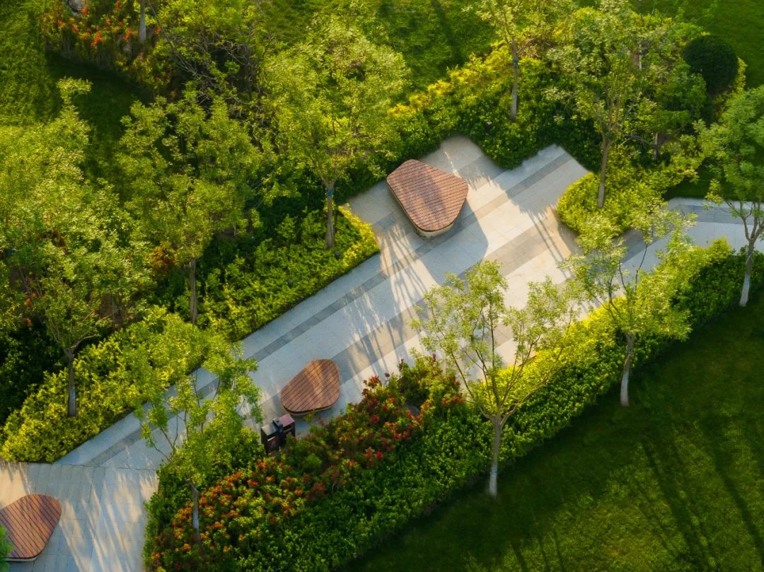 华远·和府·涿州丨中国河北丨麦田景观-30