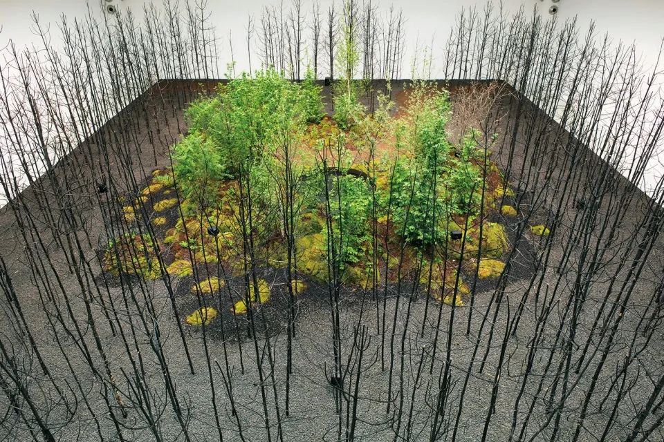 “呼唤希望”沉浸式装置丨奥地利维也纳丨Superflux 设计工作室-30