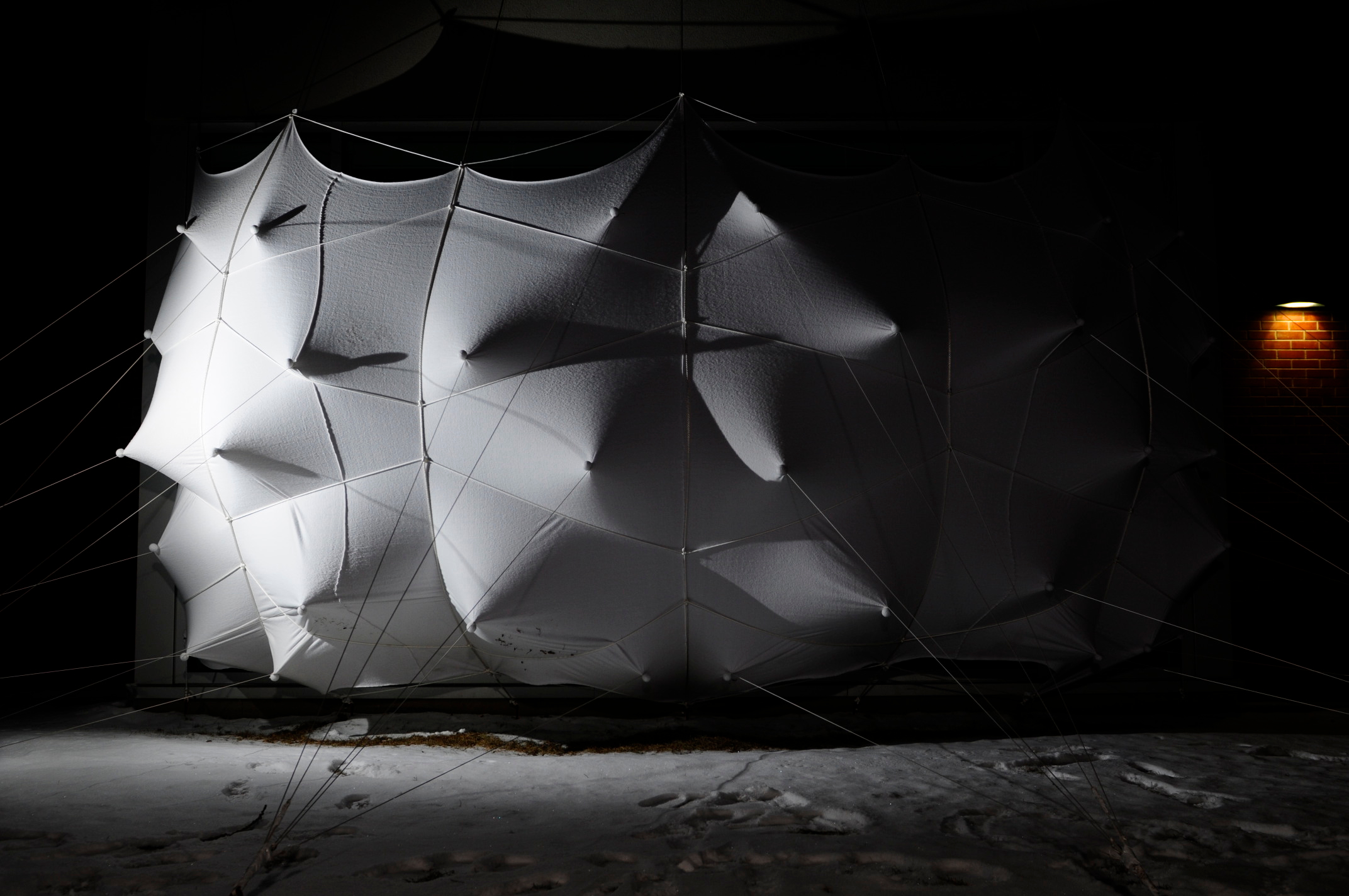 蜂群；一群（昆虫、人等）；一大群；蜂拥而至；成群移动；云集丨加拿大丨Lancelot Coar-29