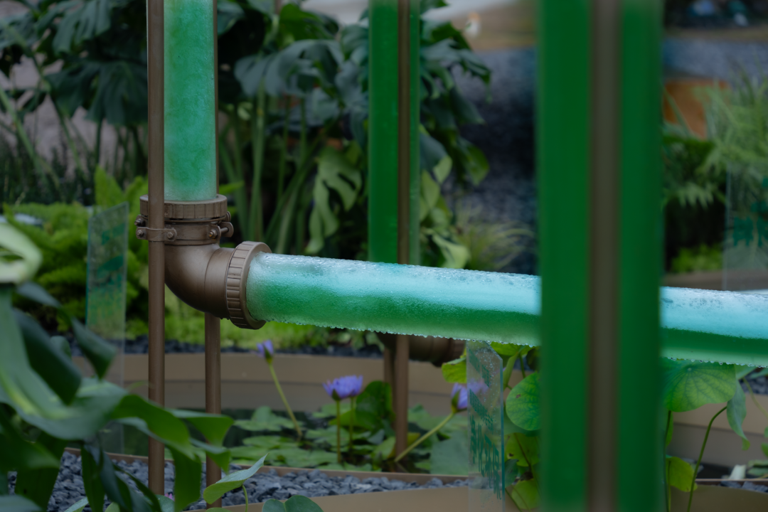 微藻实验花园：景观设计中的绿色新篇章-37