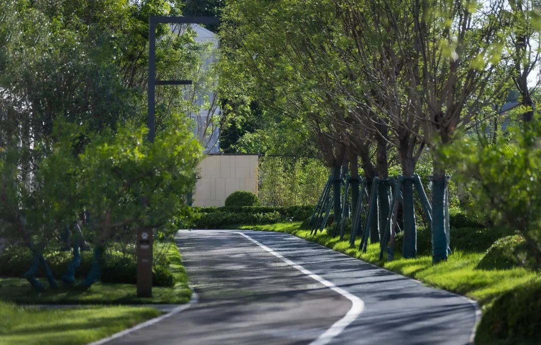 西安未央金茂府丨中国西安丨凯盛上景(北京)景观规划设计有限公司-87