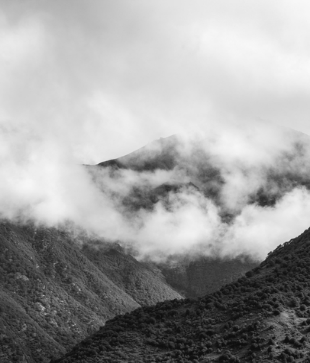 招商蛇口雍景湾-8