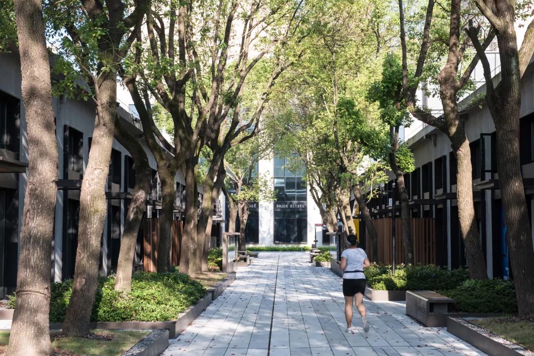 从暖瓶厂到社区公园 | 三邻桥景观改造-89