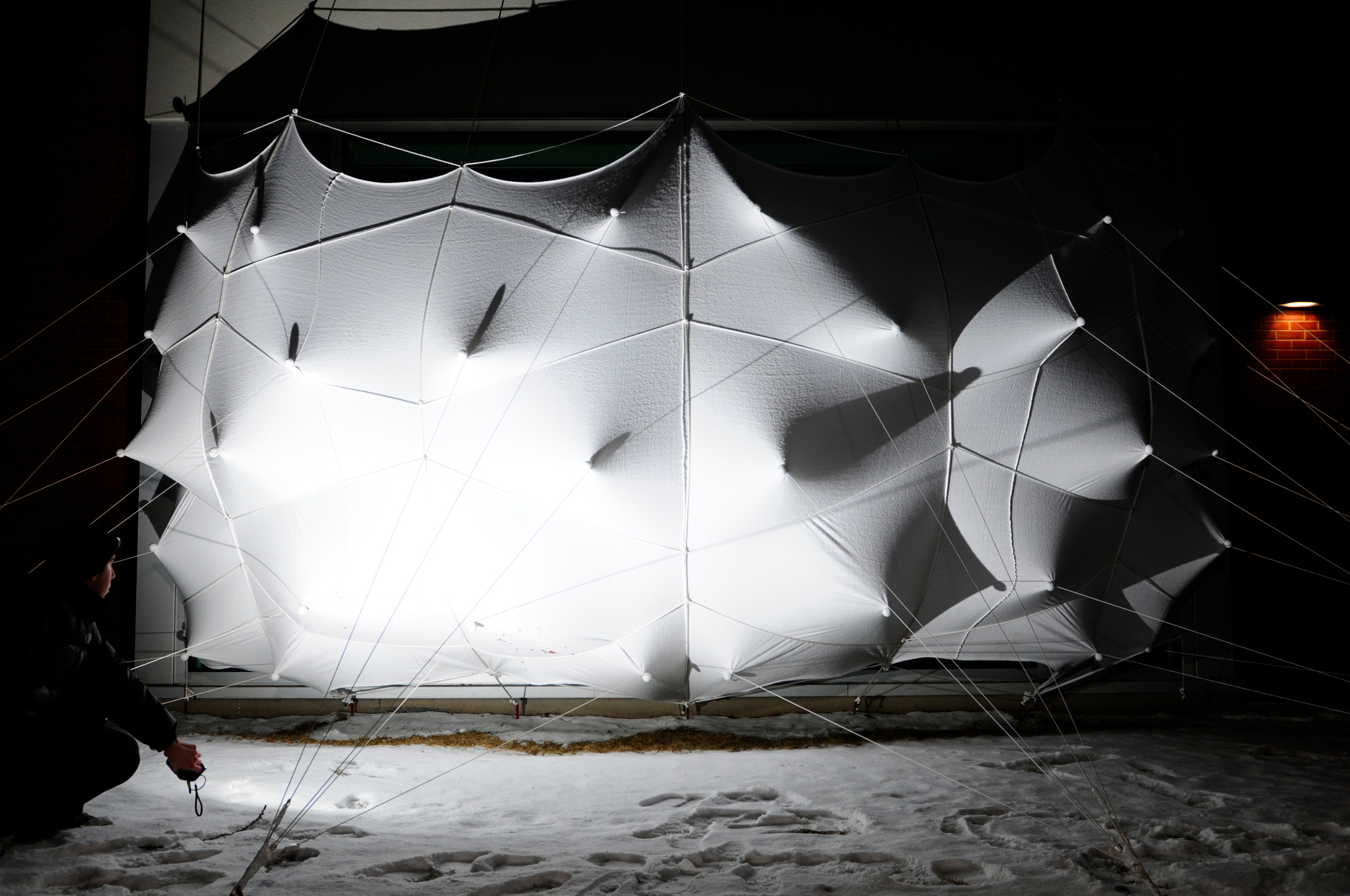 蜂群;一群(昆虫、人等);一大群;蜂拥而至;成群移动;云集丨加拿大丨Lancelot Coar-35