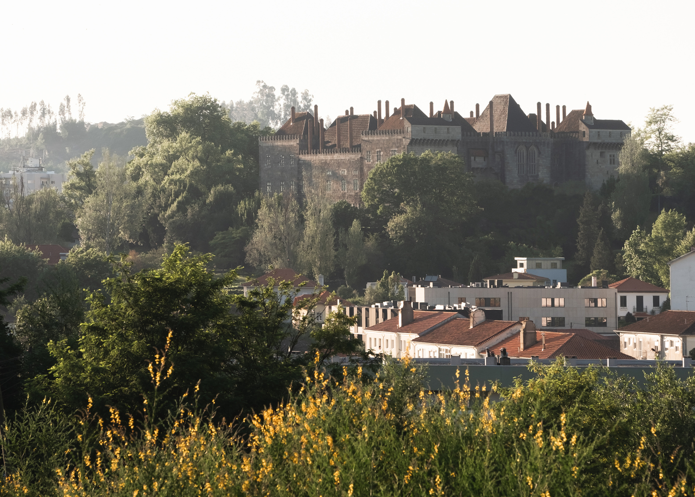 葡萄牙自然景观中的冥想空间丨Studio Nicholas Burns-26