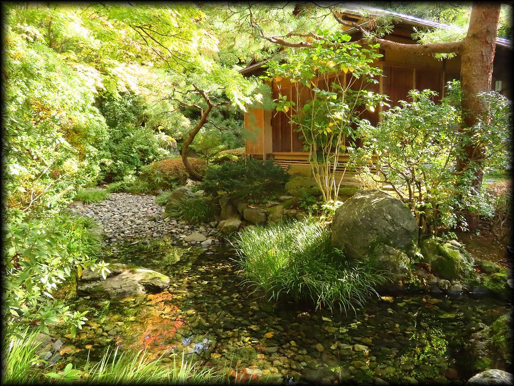 知恩院友禅苑,華麓庵,白寿庵,知恩院方丈庭園丨日本京都-26