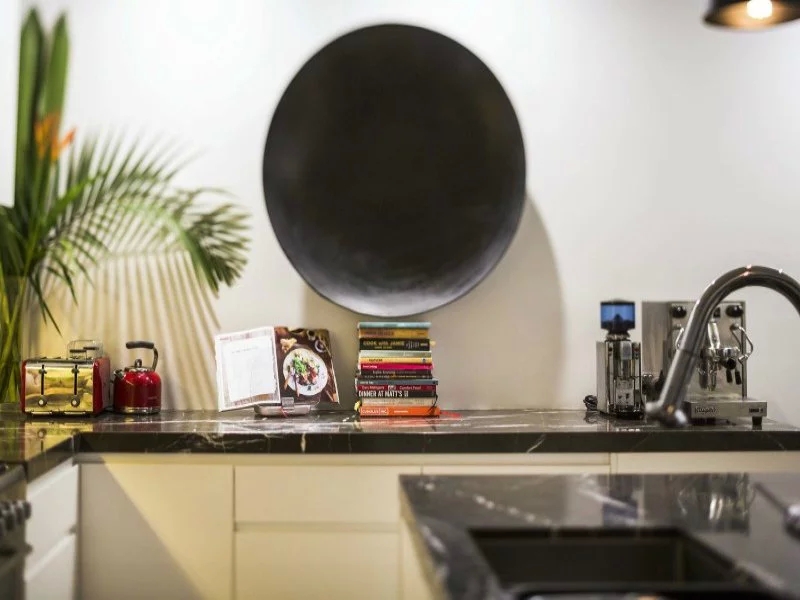 豪华别墅 现代风格Redfern terrace house 悉尼-6