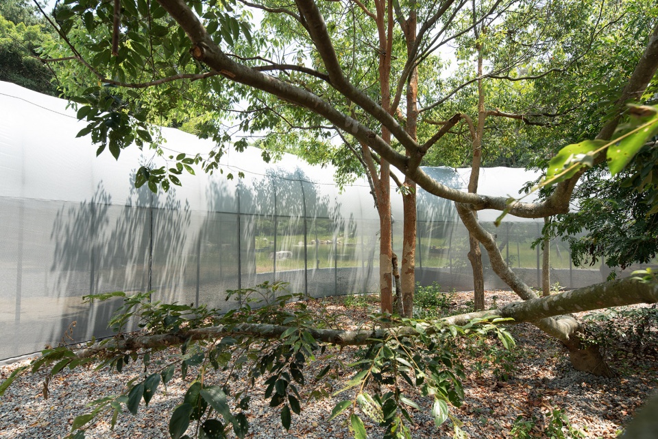 苗栗香格里拉乐园的生态奇观·勤美学森大-39