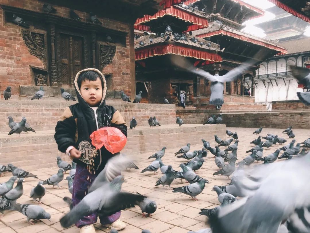 游走的心灵设计 | 远方的田野-9
