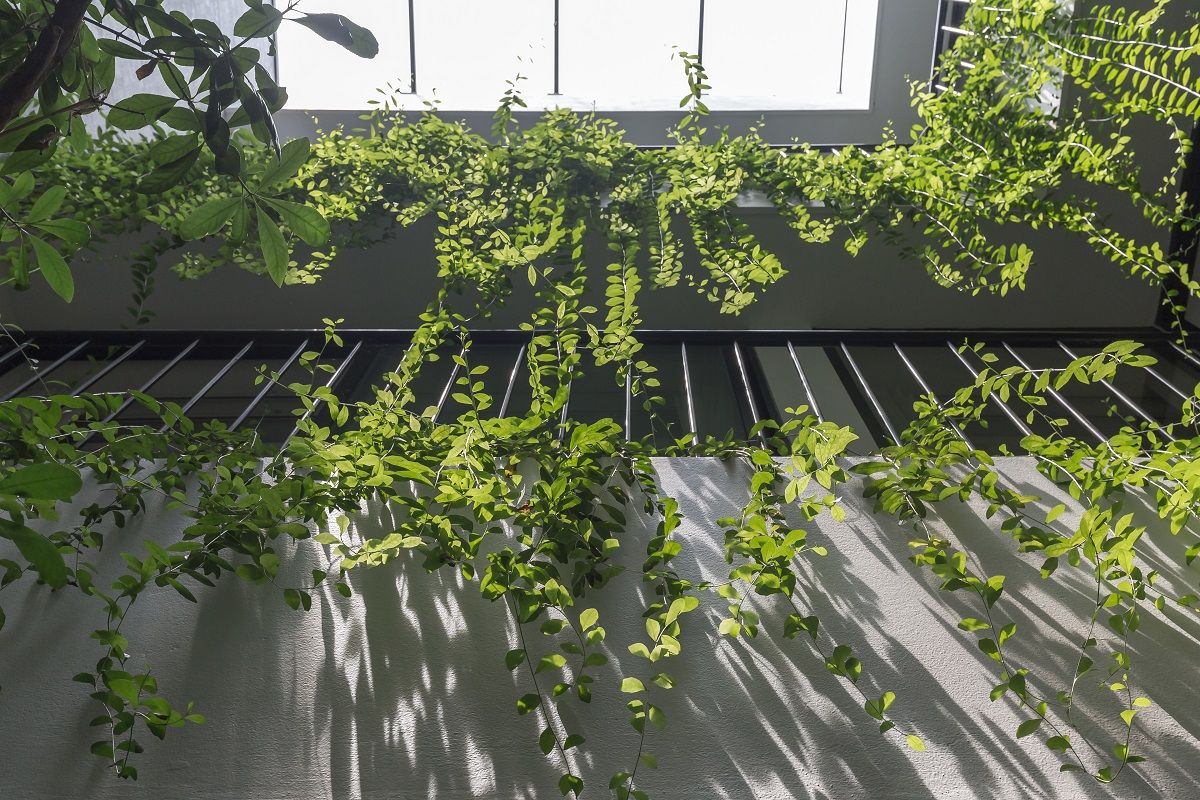 河内老城区绿色住宅设计-6