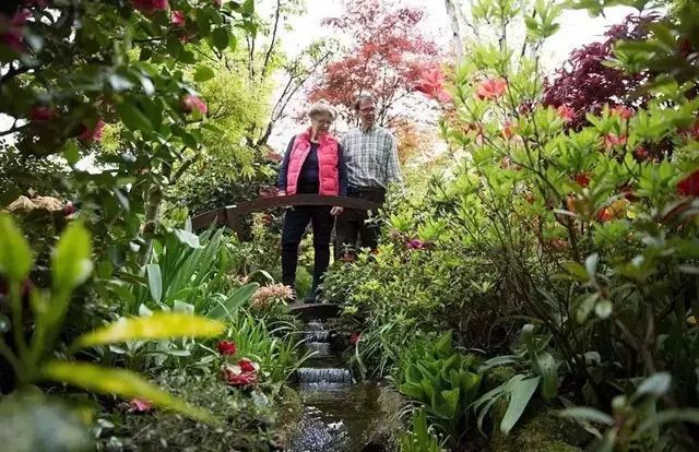 7旬夫妻用24年建绝美花园 全球花友慕名来“探花”-35