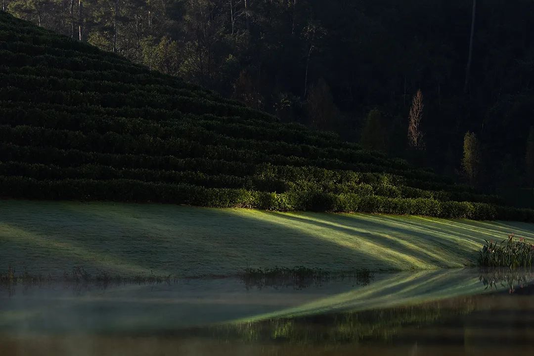 融创普洱国际健康城丨中国普洱-5