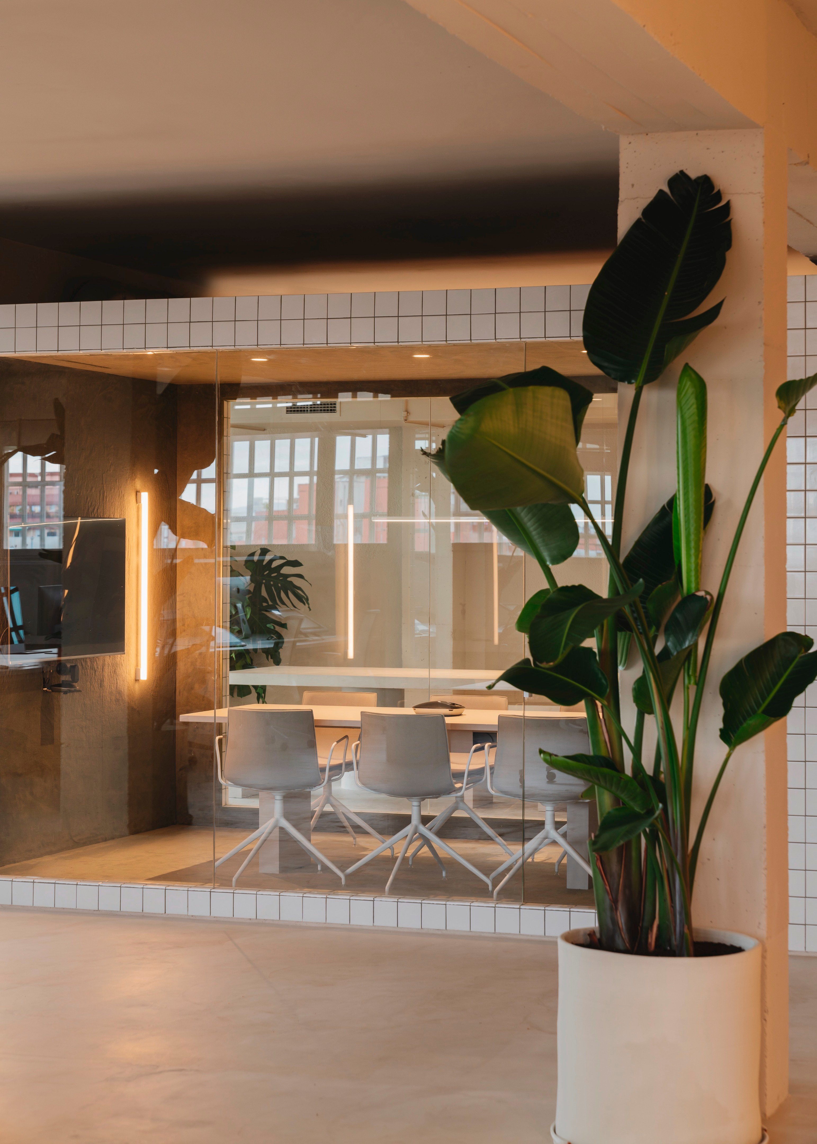 BOL 创意视听制作公司丨西班牙巴塞罗那丨Isern Serra Studio-19