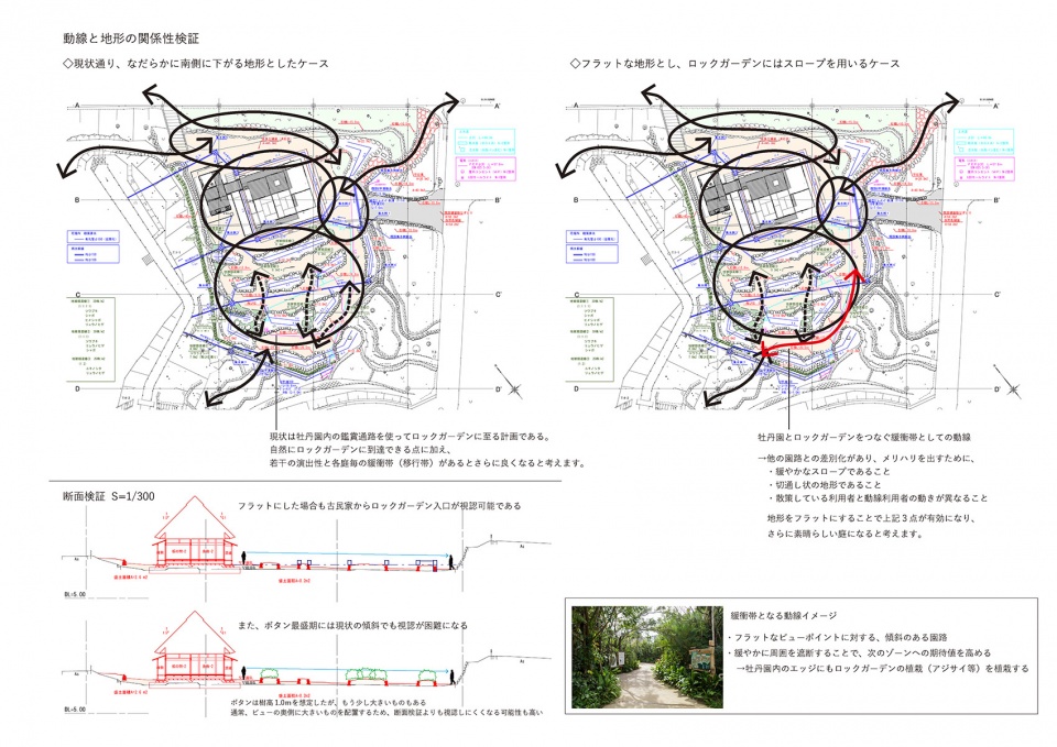 常盤公园牡丹苑翻新设计丨日本丨株式会社户田芳树风景计画-34