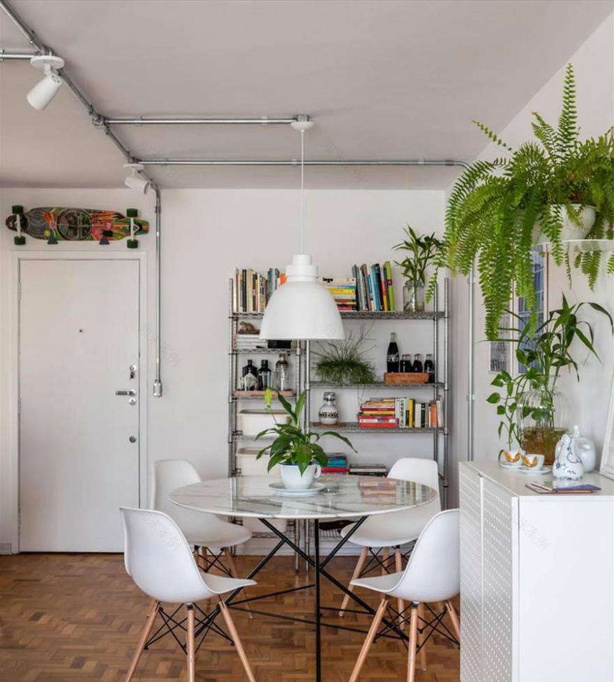 Apartamento 7·7 的"城市丛林"-5