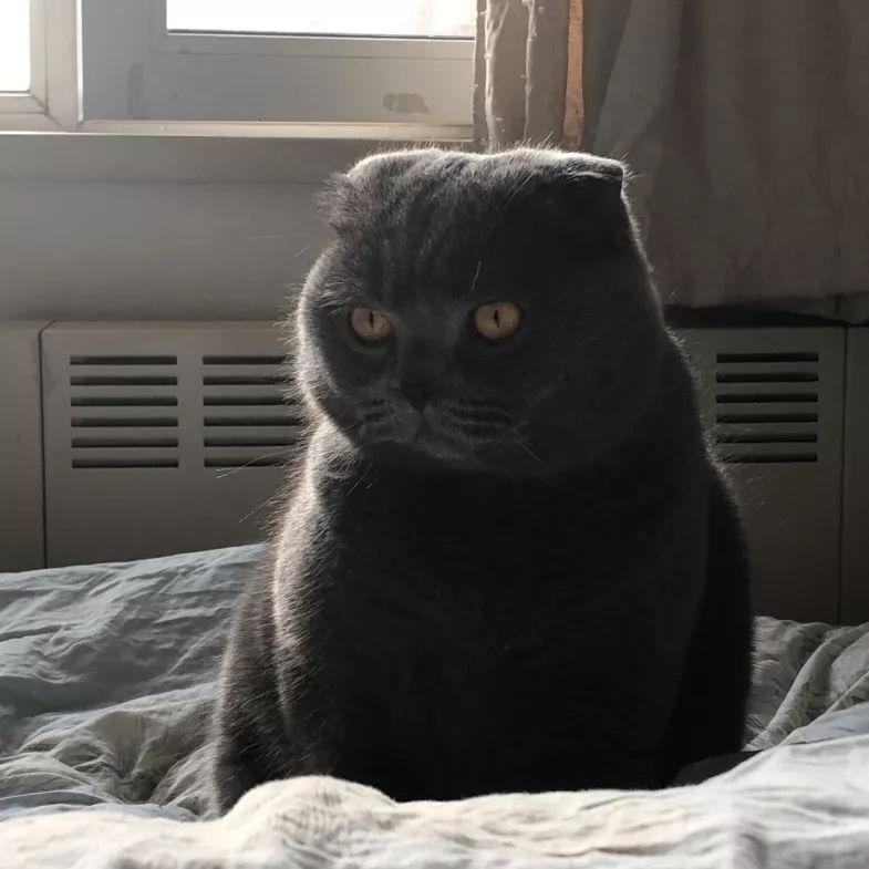 疫情下的设计团队 | 工作方式转变与感悟-32