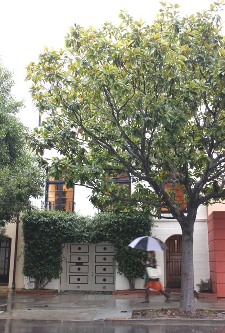 旧金山客厅重新设计项目丨美国丨blog the redesign company-73