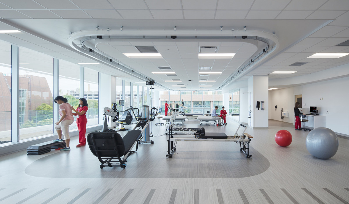 Cincinnati 大学的 Gardner 神经科学研究所-15