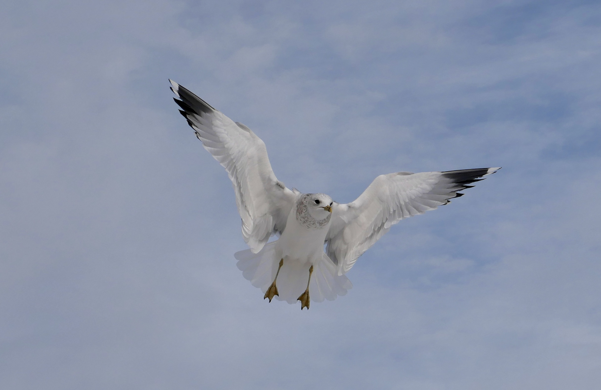 无明确体现丨无相关信息-2