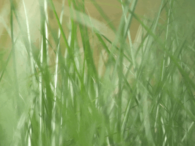 重庆·椒园丨中国重庆丨重庆尚壹扬装饰设计,重庆悦集建筑事务所-17