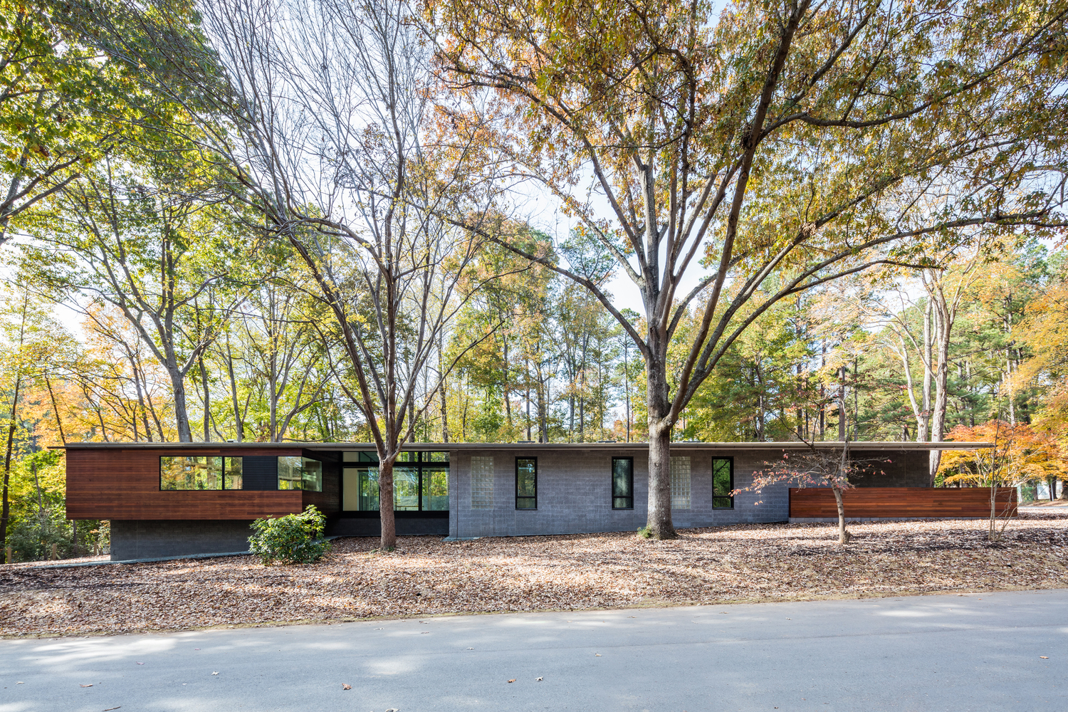 郊区森林中的私密玻璃住宅-20