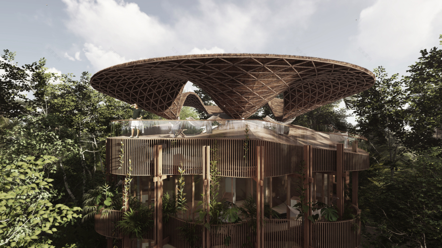 图卢姆共享居住丨墨西哥丨yaaxkadesign-12