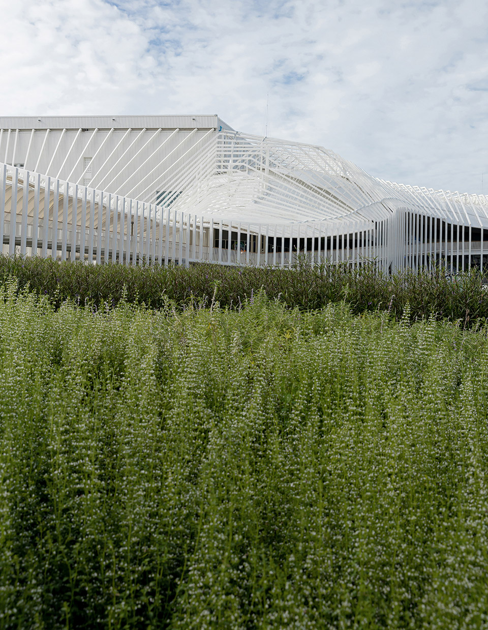 Megapark商业综合体改造,曼谷 / Architectkidd-52