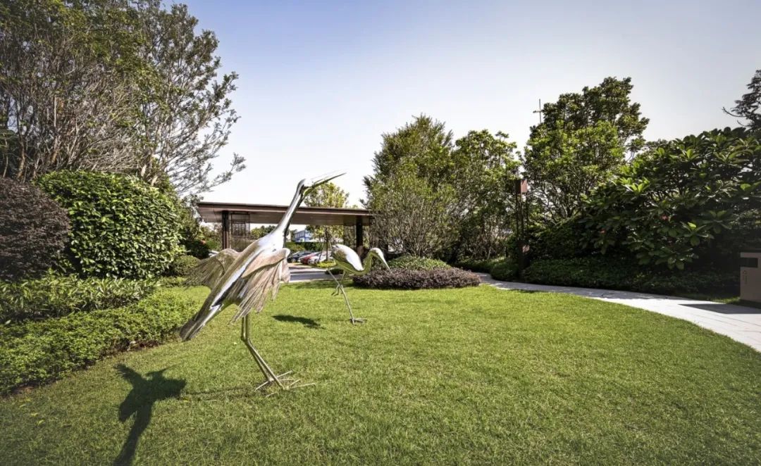 三水荷花世界,云水荷香间的归心之所-46