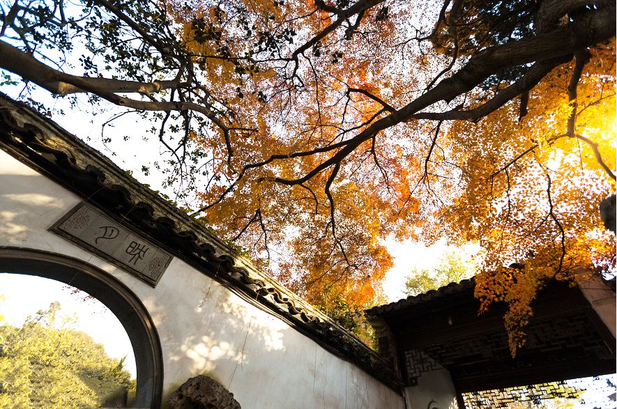 天易居-中国宅子丨天易居品牌-54