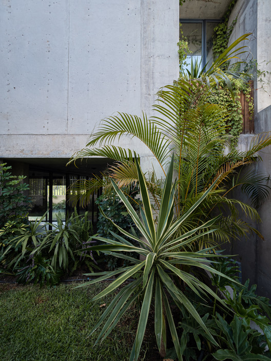 可持续自然光之家丨墨西哥丨Magaña Calderón-10