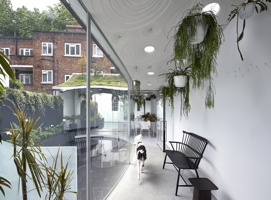 Sun Rain Room: Two-Storey Extension of a Georgian Townhouse-14