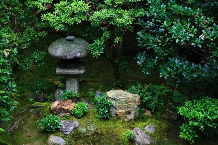 庭院满青苔，极美！-19