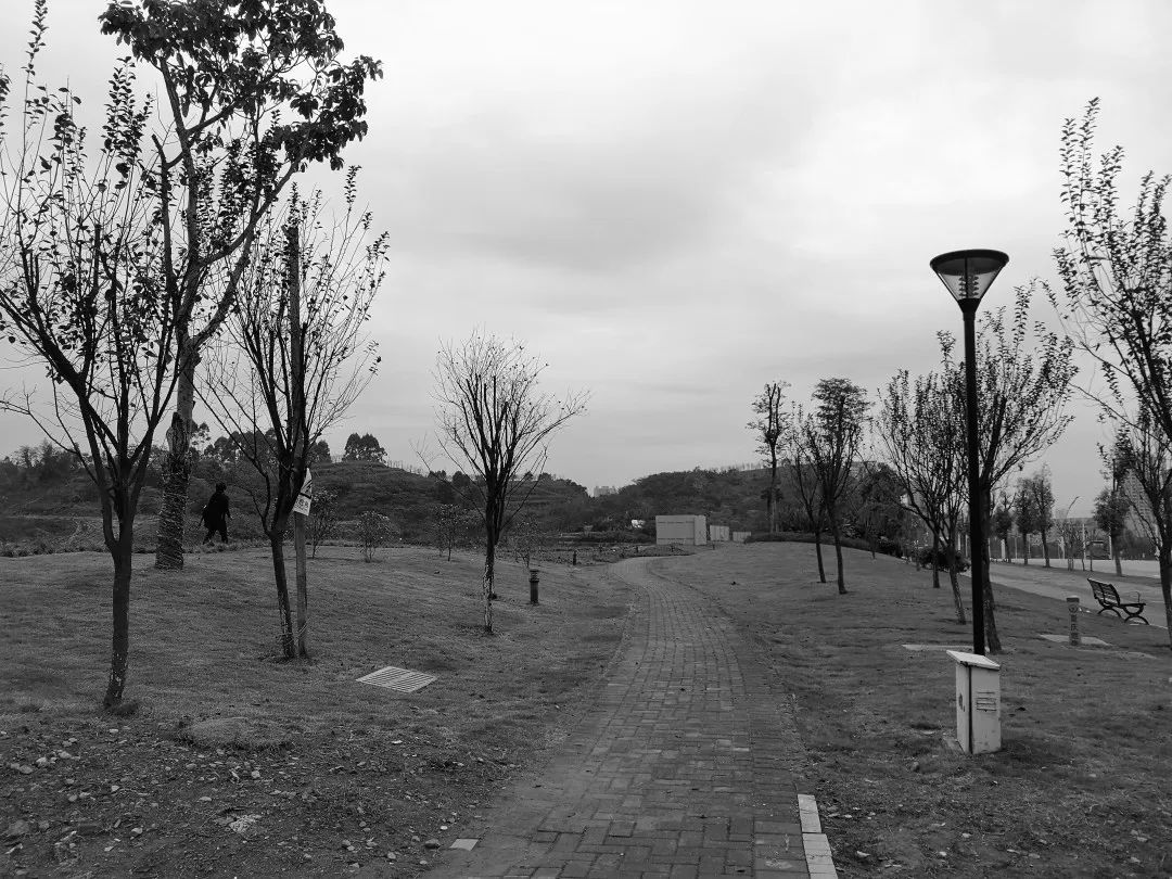 金科·星宸海 | 城市山林中的星辰大海-58