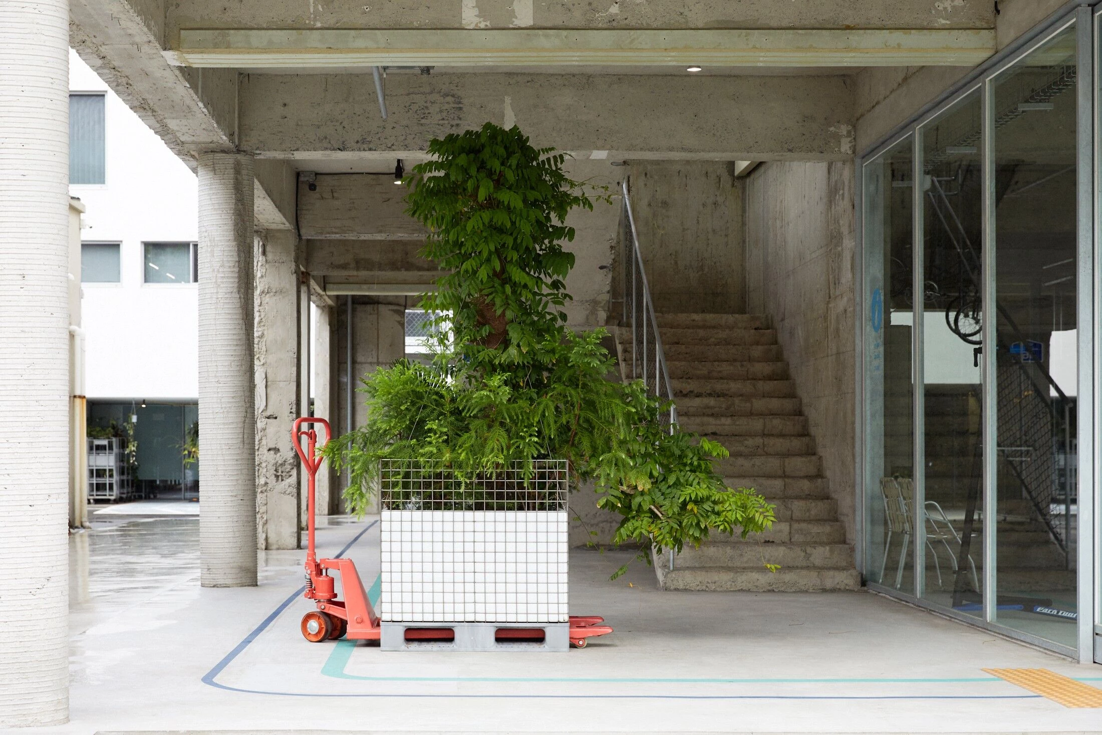 韩国 Jeju 岛折叠自行车店丨Schemata Architects,Jo Nagasaka-22