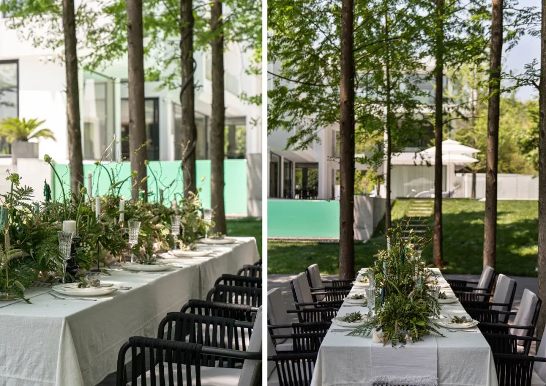 莫干山秘境杉林,尽享自然之美-50