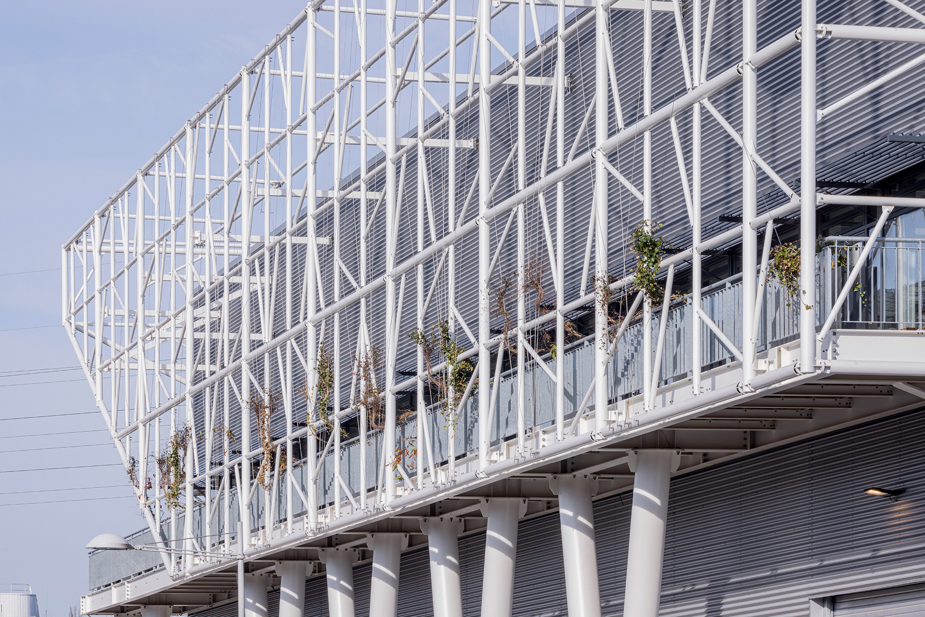 巴黎南特雷垃圾分拣中心改建,绿色环保与高效工作并重-12