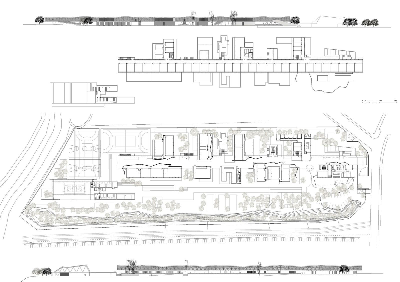 西班牙 Orihuela 市 IES Playa Flamenca 学院-15
