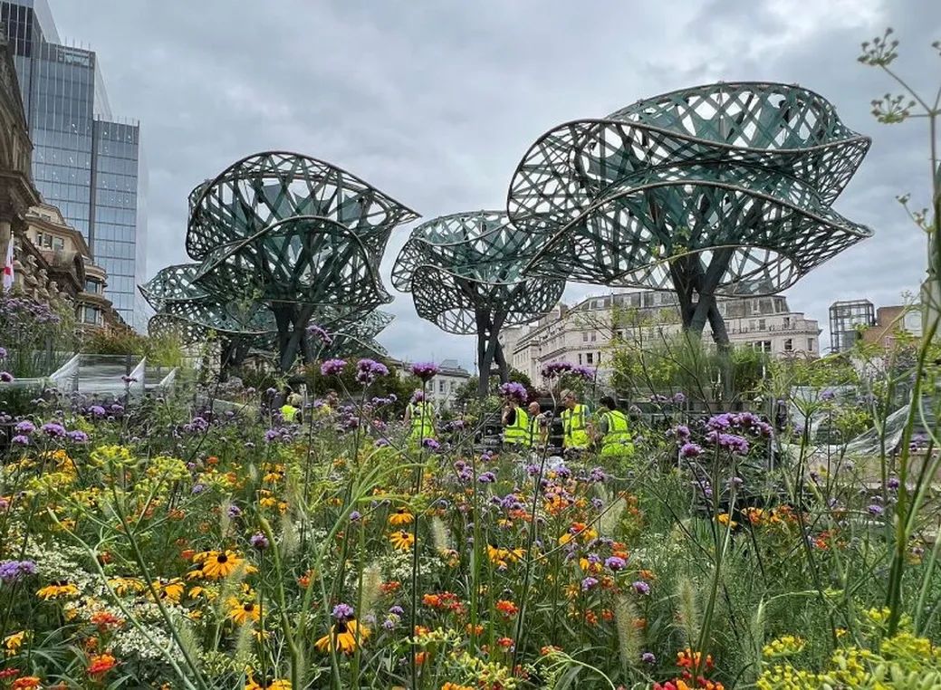 英国伯明翰 PoliNations 感官花园丨伦敦 THISS Studio 建筑公司-3