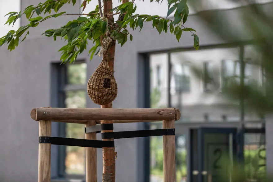 Sukhodolsky 公共公园和庭院丨俄罗斯丨LEVS architecten-47